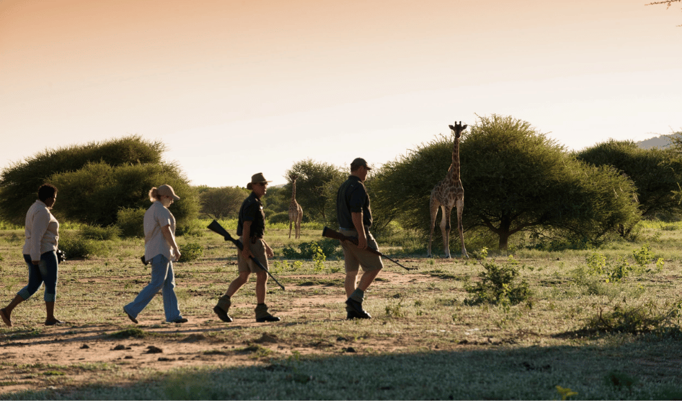 Marataba Safari Lodge
