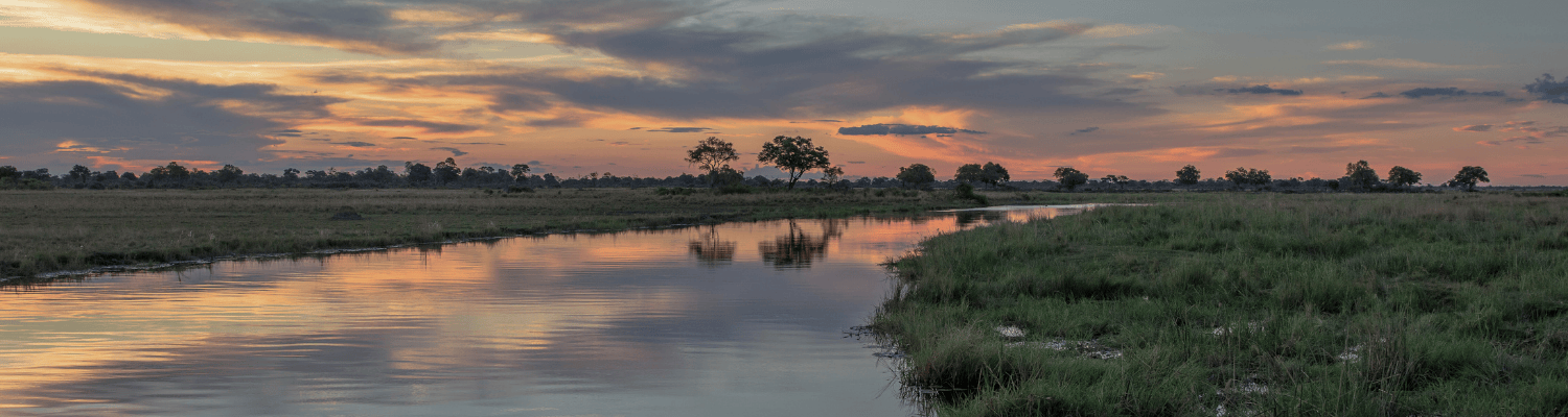 African Safari Regions