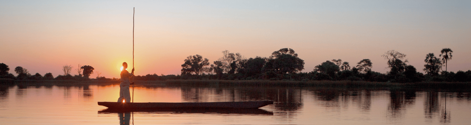 Safari Activities and Experiences