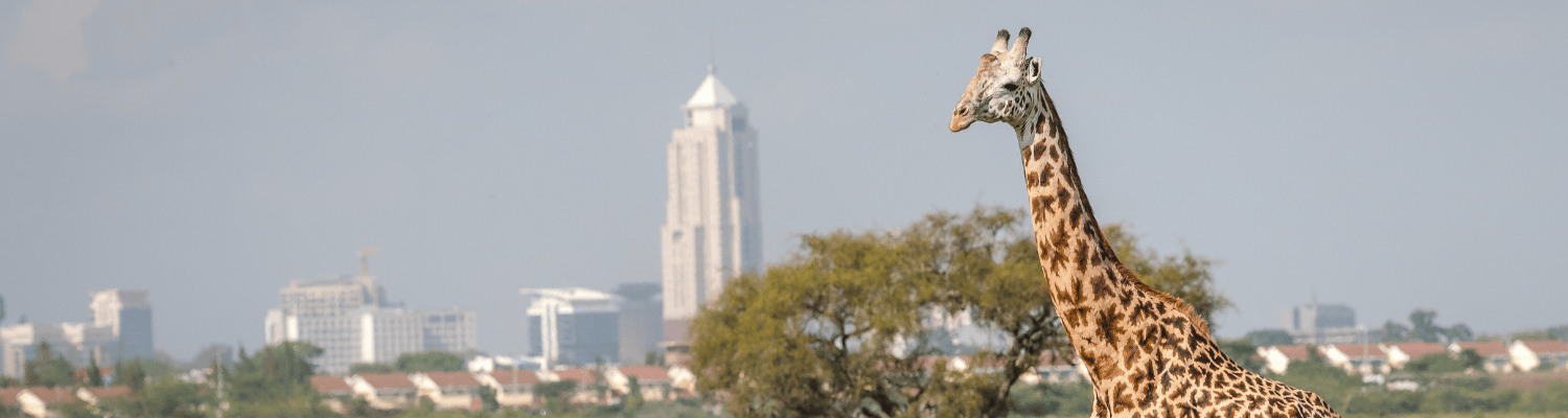 African Cities and Towns