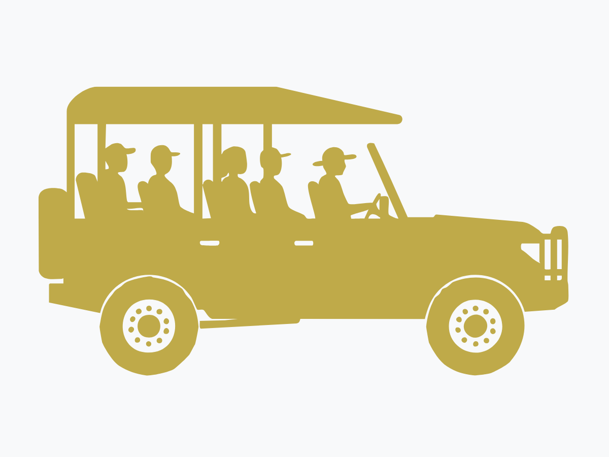 Morning & Afternoon Game Drives