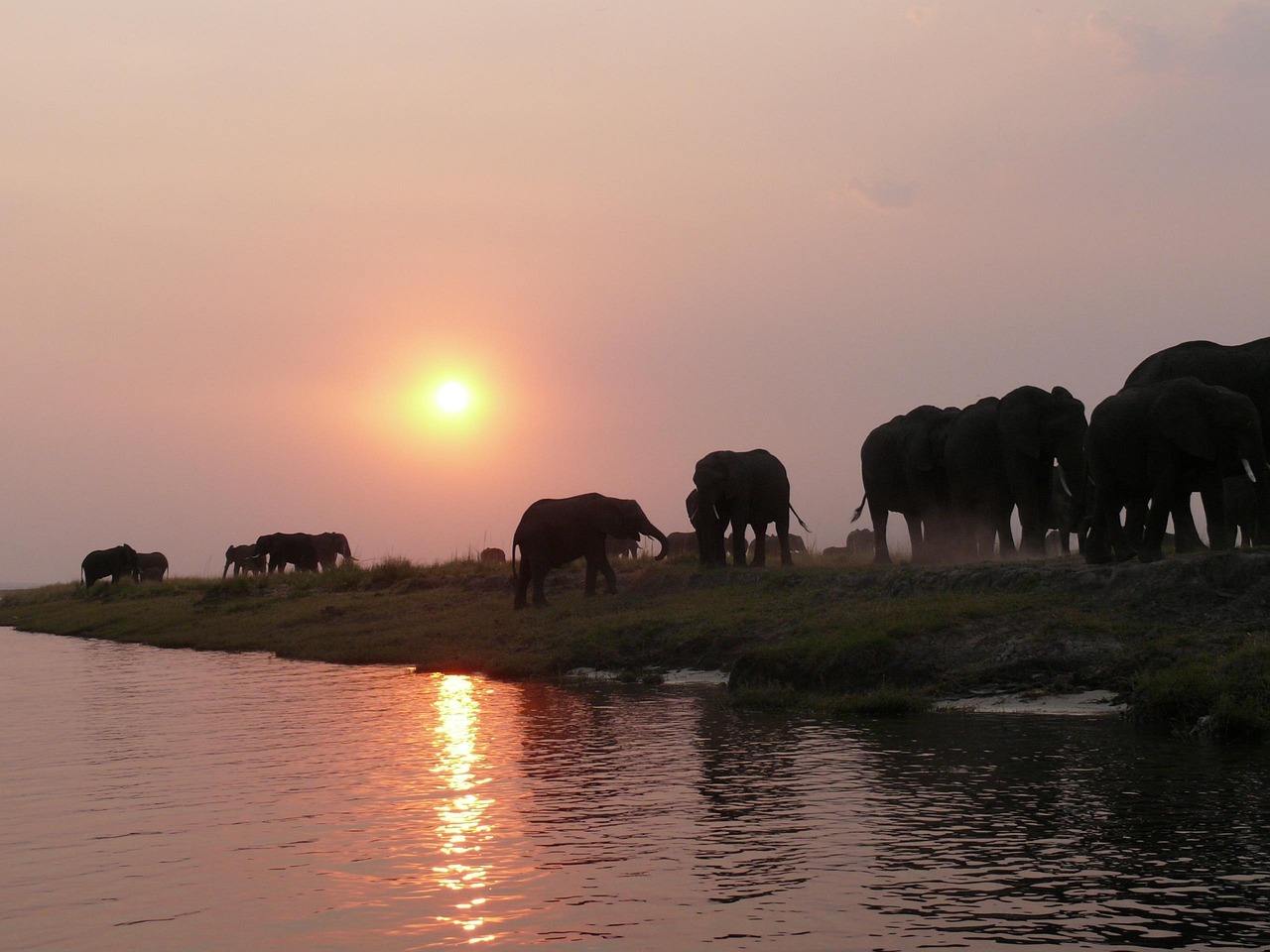 Simakade Chobe National Park