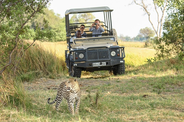 Simakade Okavango Game Drive