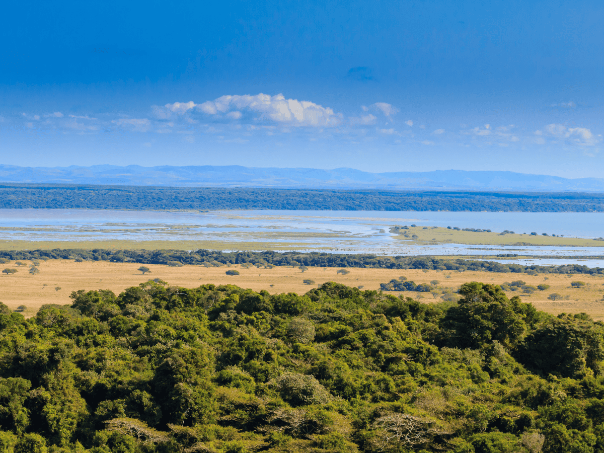 Isimangaliso Simakade
