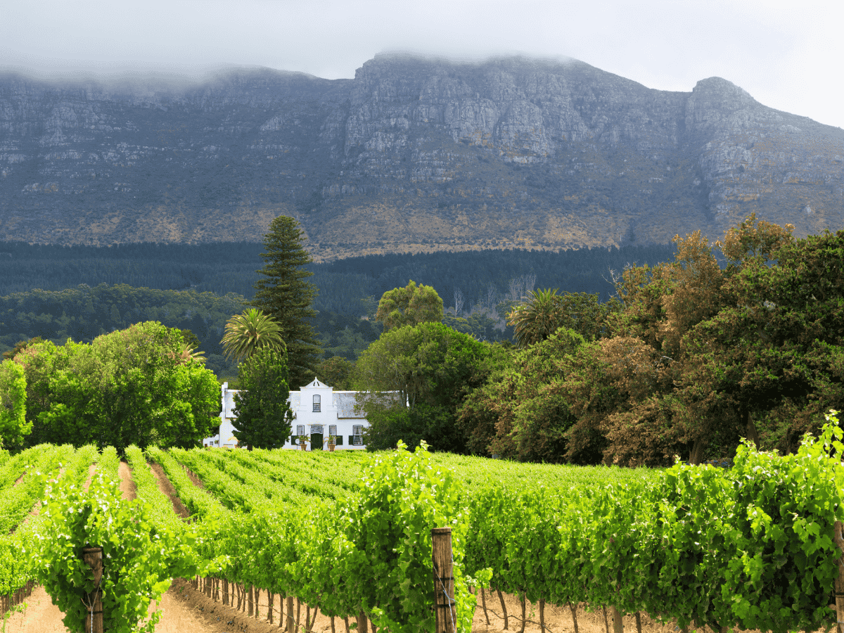 Stellenbosch Simakade