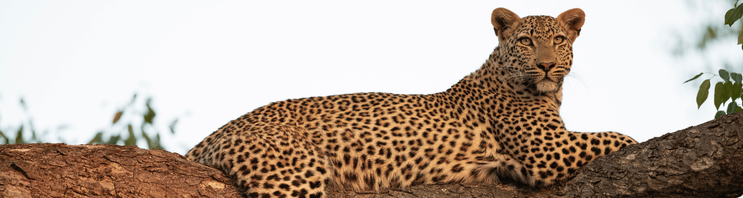 South Africa | A Complete Travel Guide