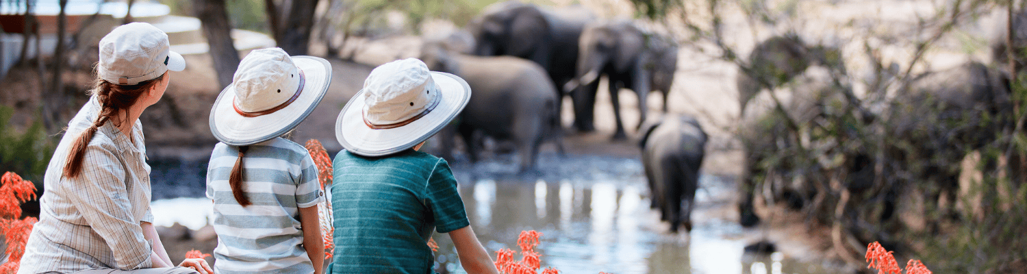 A Family Traveller’s Guide to African Safaris