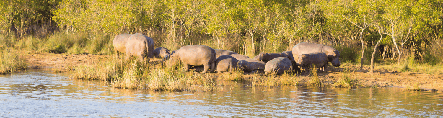iSimangaliso Wetland Park