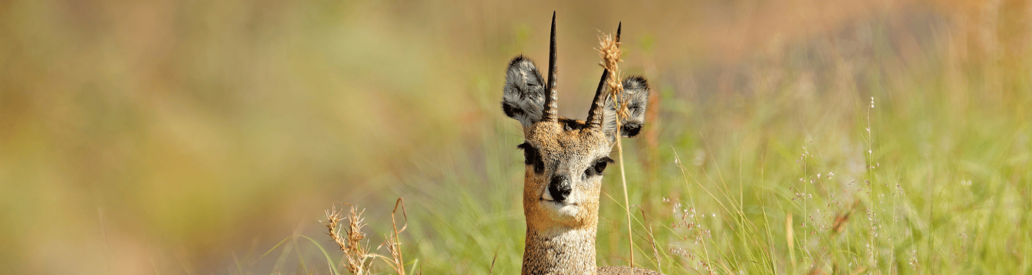 Marakele National Park