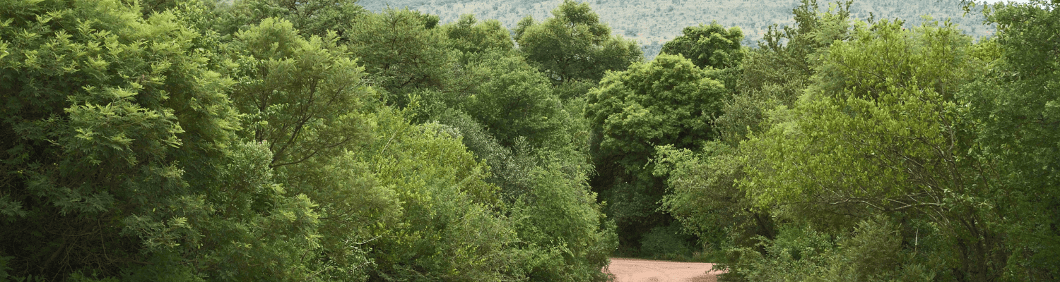 Marataba Private Game Reserve