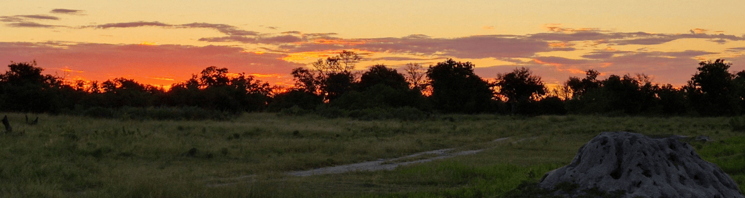 Sleepout Experiences